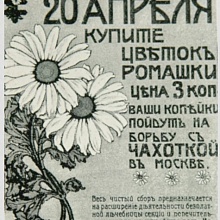 Белый цветок. Фотохроника XX века.